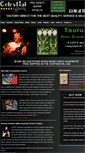 Mobile Screenshot of celestialeffects.com